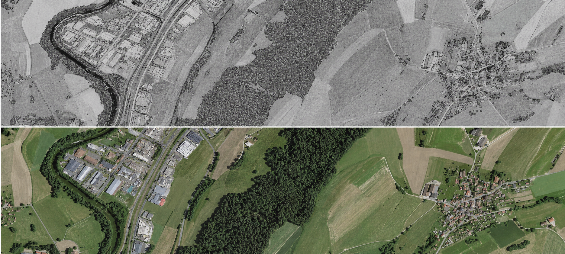 Point Cloud & Ortho Image Processing output 1
